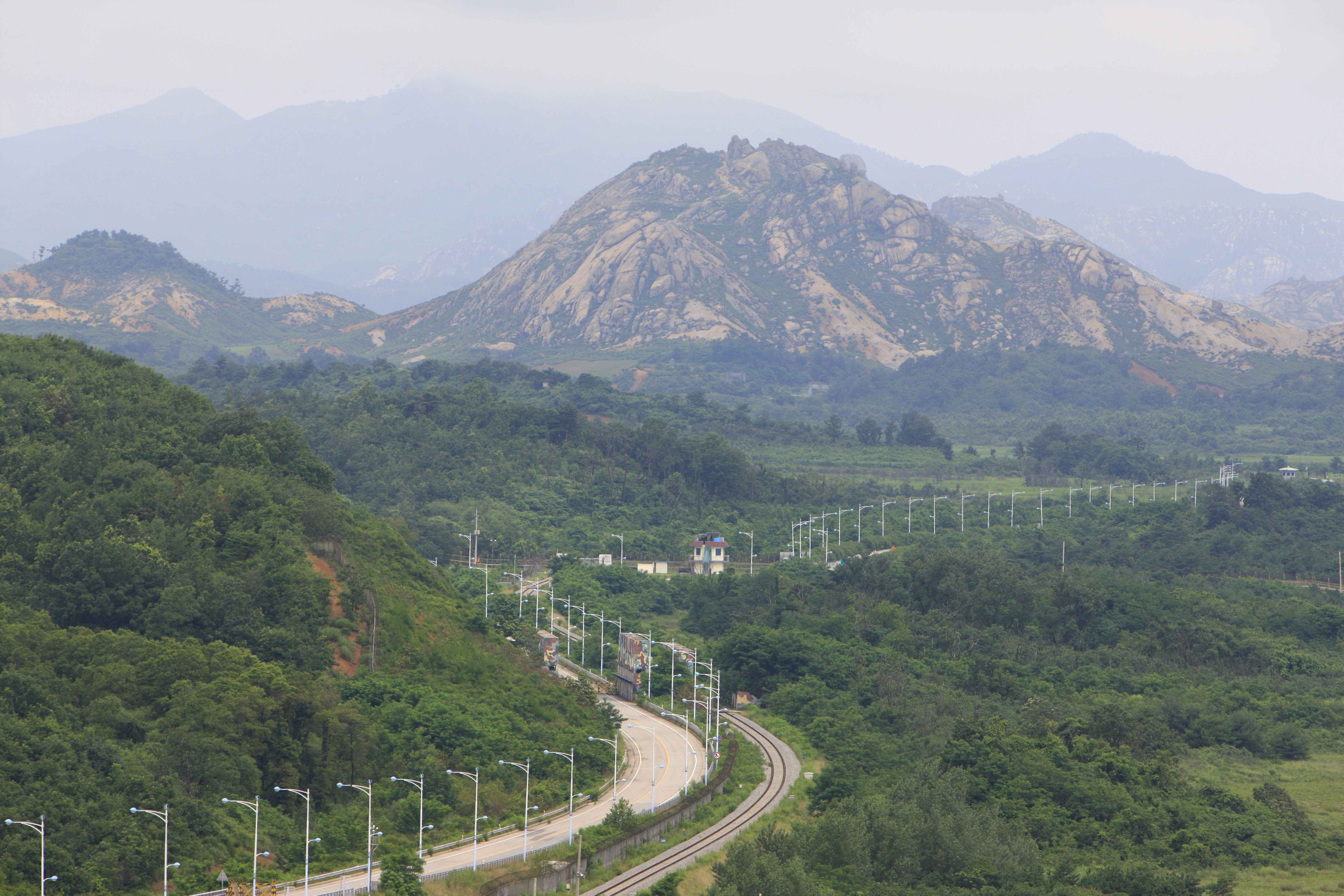 Paju